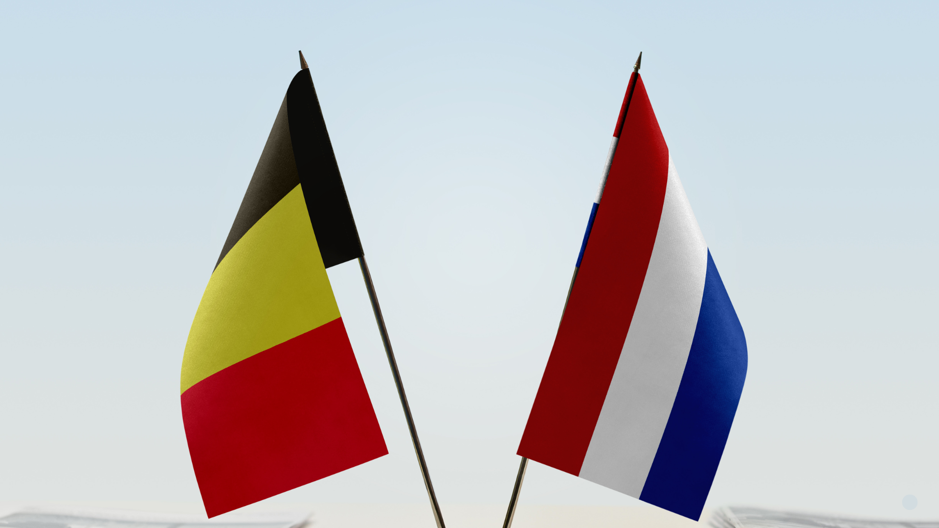 Vlaggen België en Nederland