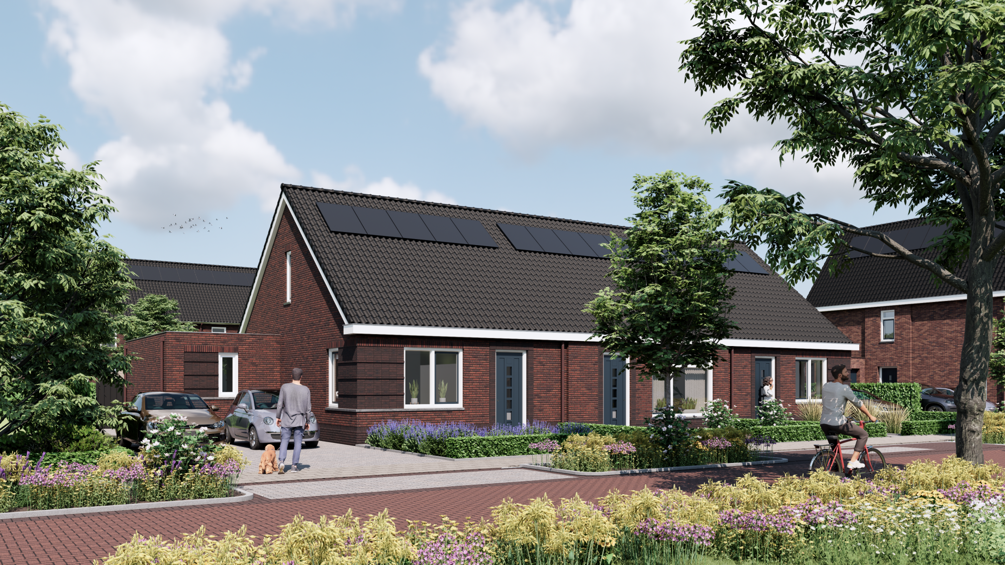 Afbeelding van nieuwbouwproject Sprinkhof in Arnemuiden.